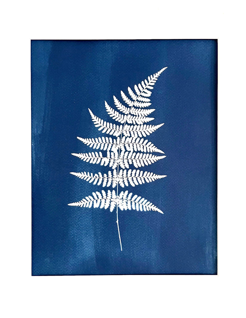 Fern Cyanotype